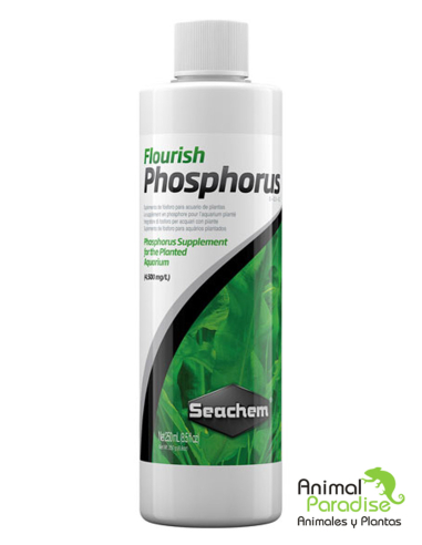 Flourish Phosphorus |Suplemento de fosfato de Seachem