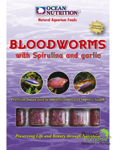 Alimento Congelado Larva Roja Mosquito con Espirulina y Ajo | Comida para peces