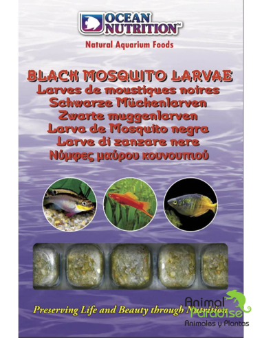 Alimento Congelado Larva de Mosquito Negro | Comida para peces