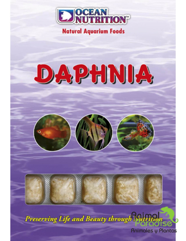 Alimento Congelado Daphnia | Comida para peces