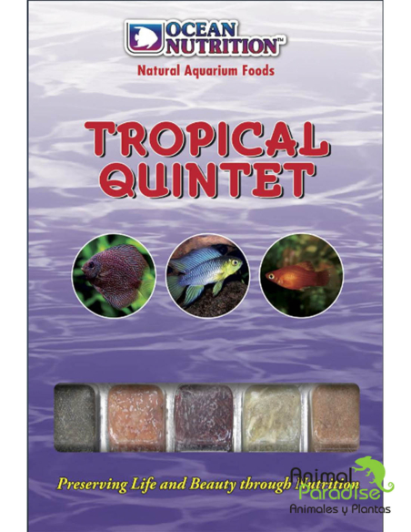 Alimento Congelado Tropical Quintent | Comida para peces