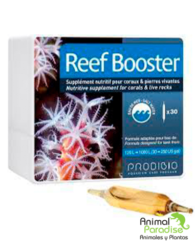 Reef Booster 12 ampollas de Prodibio | Suplemento nutritivo para corales y roca